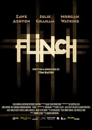 Постер: Flinch