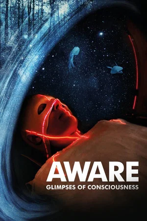 Постер: Aware: Glimpses of Consciousness
