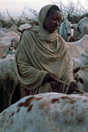 Постер: Boran Herdsmen