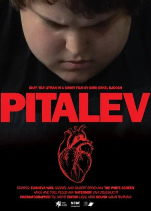 Постер: Pitalev