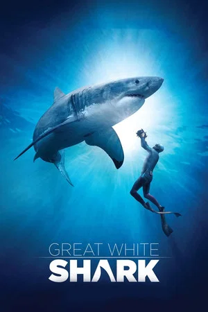 Постер: Great White Shark