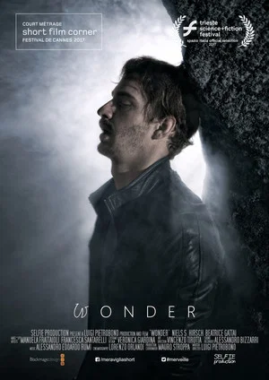 Постер: Wonder