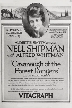 Постер: Cavanaugh of the Forest Rangers