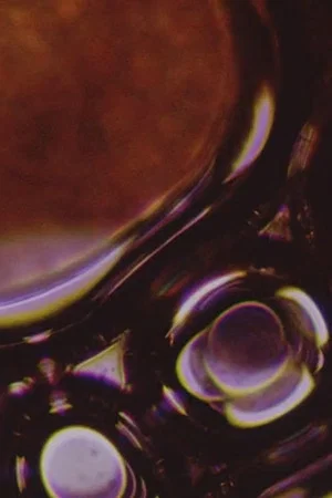 Постер: Microform