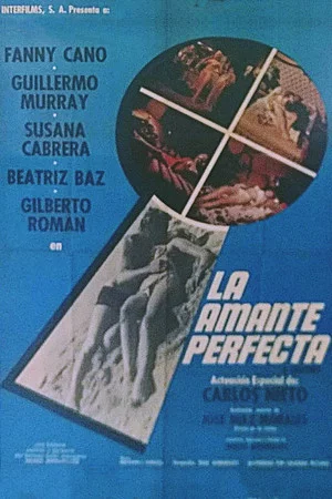 Постер: The Perfect Lover