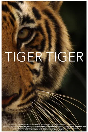Постер: Tiger Tiger