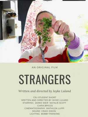 Постер: Strangers