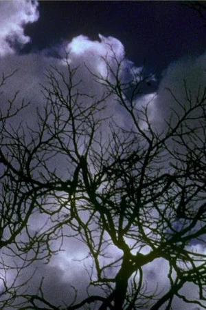 Постер: Kodachrome Dailies from the Time of Song and Solitude (Reel 2)