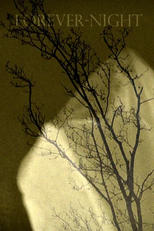 Постер: Forever-Night