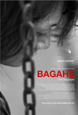 Постер: The Baggage