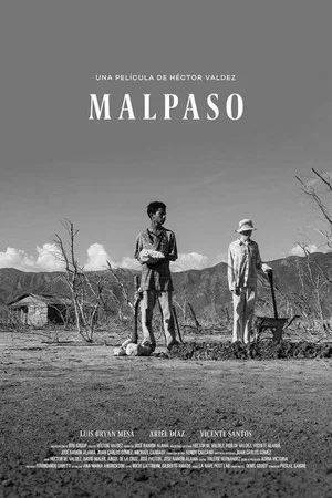 Постер: Malpaso