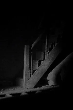 Постер: House