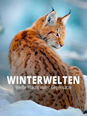 Постер: Terra X - Wilde Winterwelten
