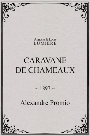Постер: Caravane de chameaux