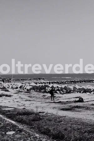 Постер: Oltreverde