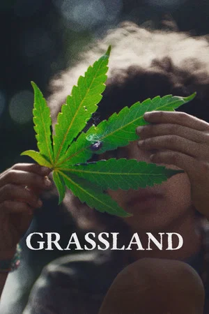 Постер: Grassland