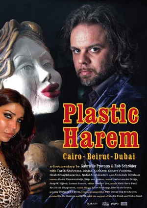 Постер: Plastic Harem