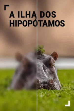 Постер: Island of the Hippos