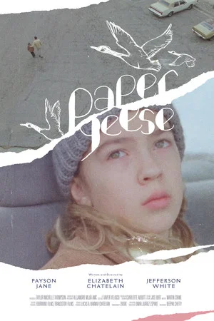 Постер: Paper Geese