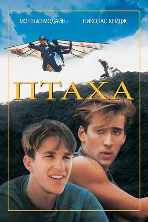 Постер: Птаха