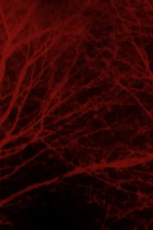 Постер: Bad Blood