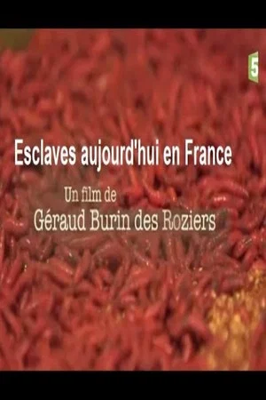 Постер: Esclaves aujourd'hui en France