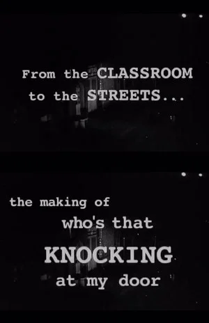 Постер: From the Classroom to the Streets: The Making of 'Who's That Knocking at My Door'