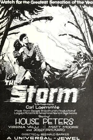 Постер: The Storm