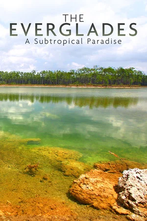 Постер: National Parks Exploration Series: The Everglades