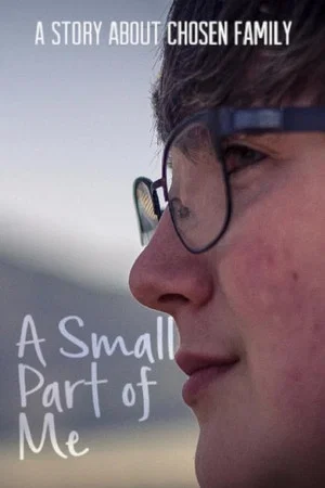 Постер: A Small Part of Me