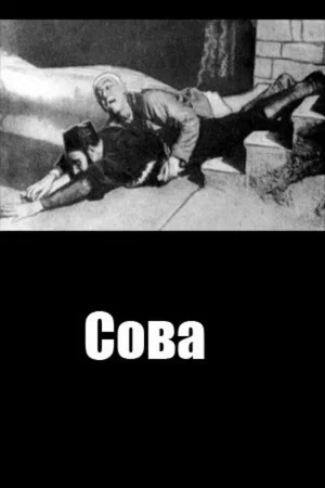Постер: Сова