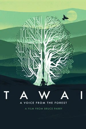 Постер: Tawai: A Voice from the Forest