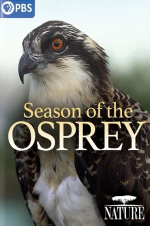 Постер: Season of the Osprey