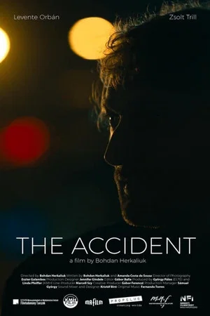 Постер: The Accident