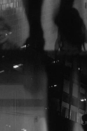 Постер: Night Reflection (I)