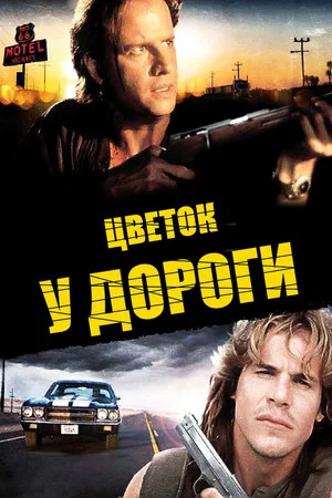 Постер: Цветок у дороги