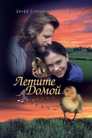 Постер: Летите домой