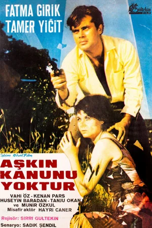 Постер: Aşkın Kanunu