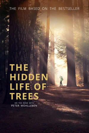 Постер: The Hidden Life of Trees