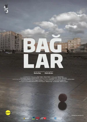 Постер: Baglar