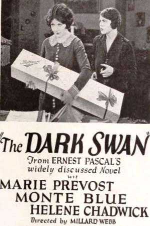 Постер: The Dark Swan