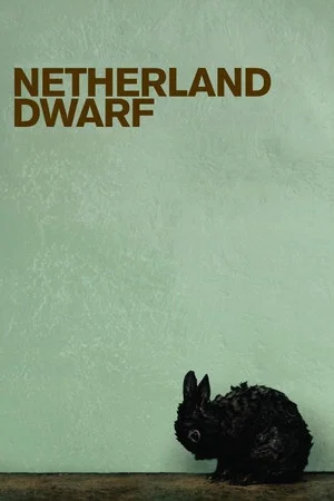 Постер: Netherland Dwarf