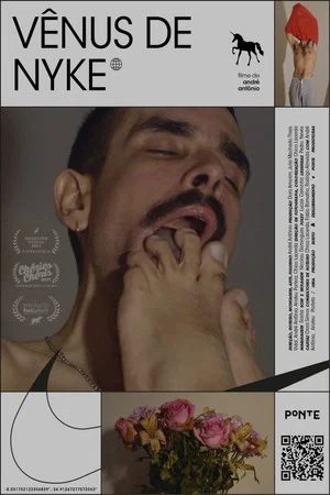 Постер: Venus in Nykes