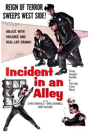 Постер: Incident in an Alley