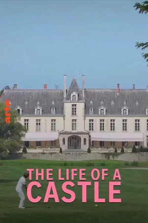 Постер: The Life of a Castle