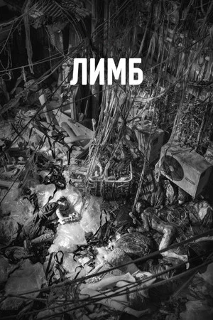 Постер: Лимб