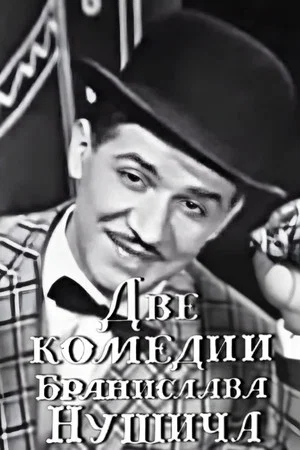 Постер: Две комедии Бранислава Нушича