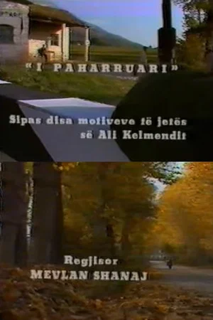 Постер: The Unforgotten