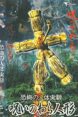 Постер: Terrifying Human Experiment: Cursed Straw Doll