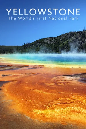 Постер: National Parks Exploration Series: Yellowstone